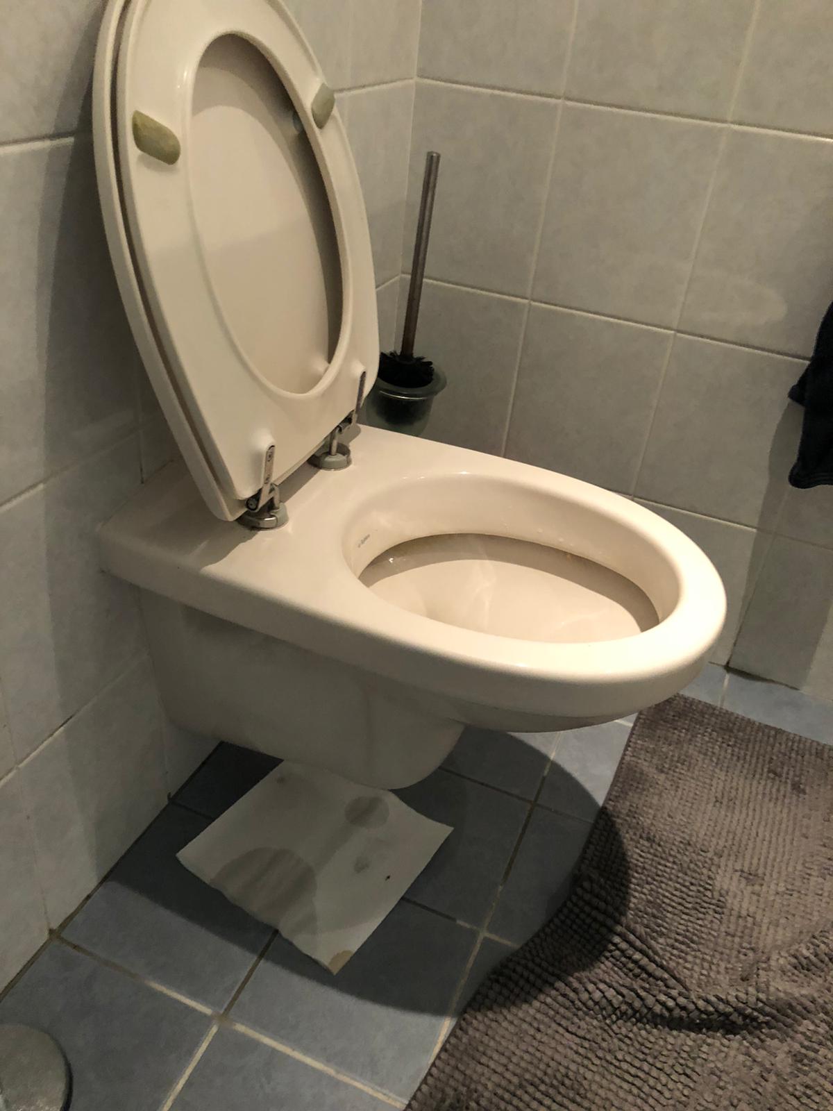 hangtoilet Brielle